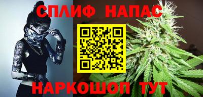 МДПВ Моздок