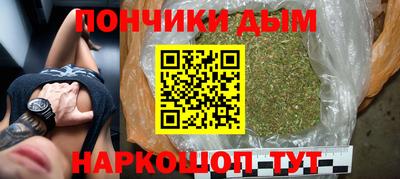 МДПВ Моздок